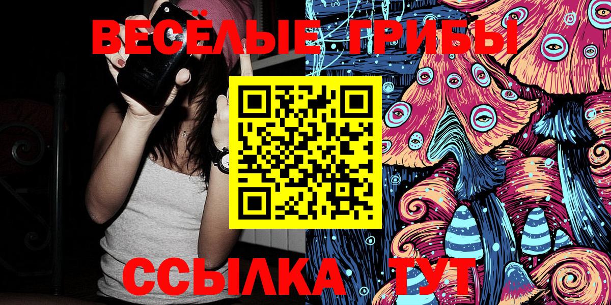 Галлюциногенные грибы Psilocybe Орёл