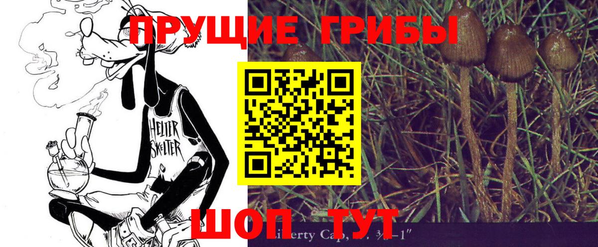 Псилоцибиновые грибы мицелий  Псилоцибиновые грибы Psilocybe  хочу   Орёл  Вход с VPN 