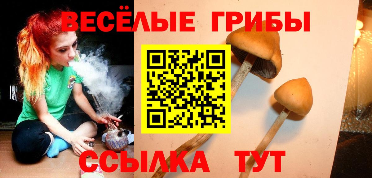 Галлюциногенные грибы GOLDEN TEACHER  Орёл  Галлюциногенные грибы GOLDEN TEACHER 