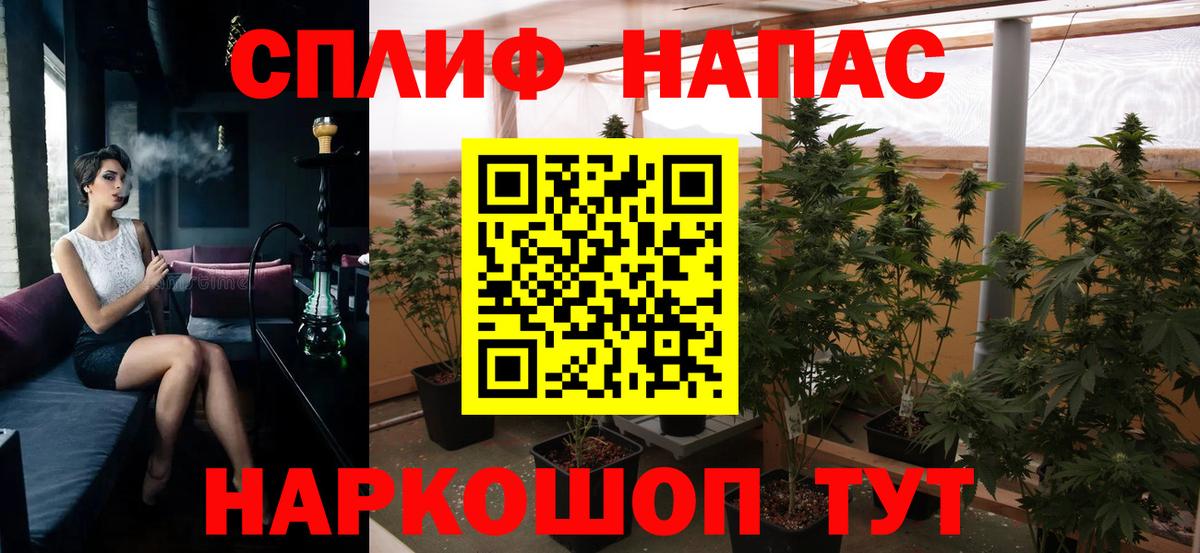 МАРИХУАНА SATIVA & INDICA  МАРИХУАНА SATIVA & INDICA  МАРИХУАНА SATIVA & INDICA  МАРИХУАНА SATIVA & INDICA  МАРИХУАНА SATIVA & INDICA  Орёл  МАРИХУАНА SATIVA & INDICA 